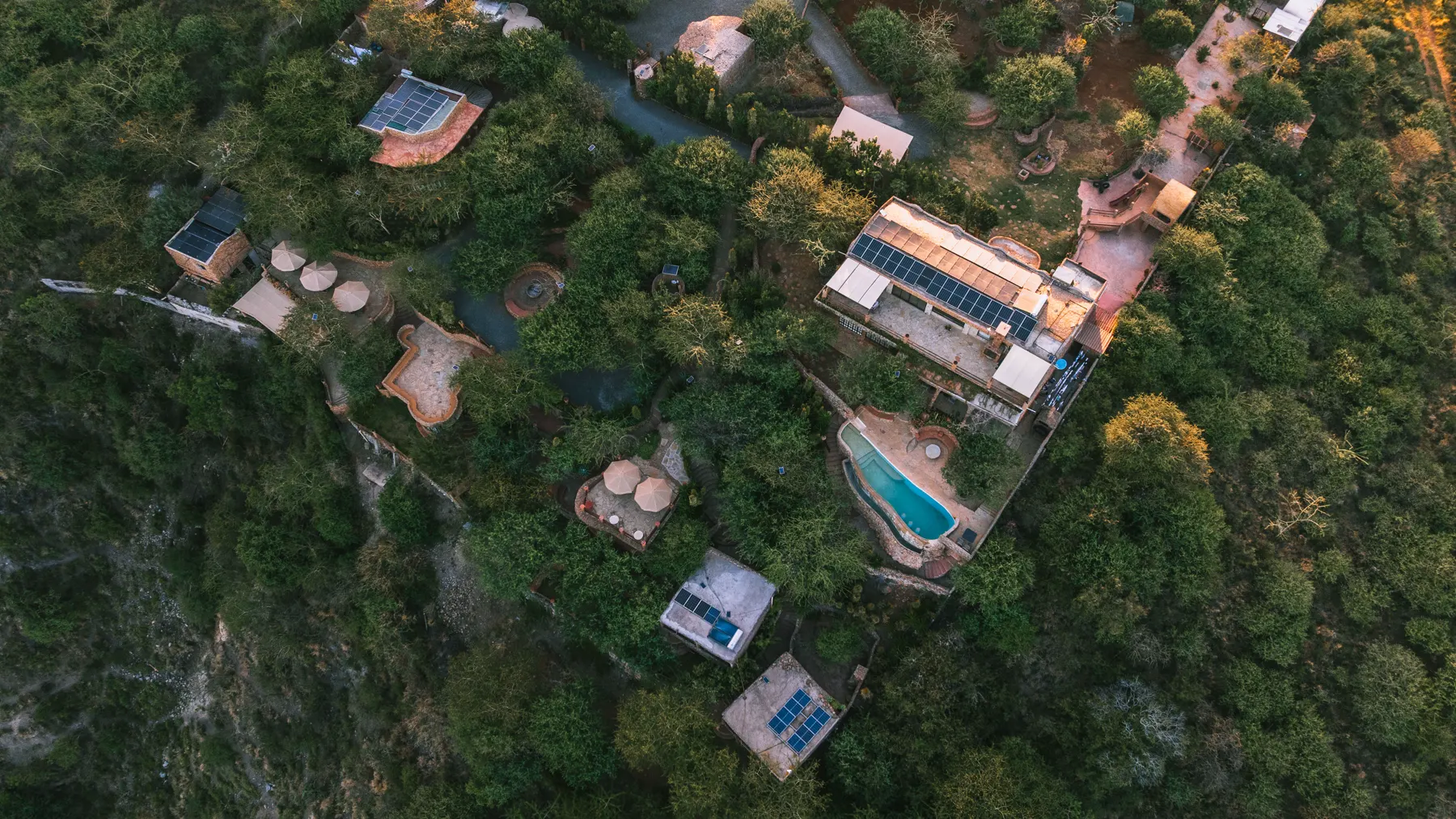 Cottages built into the hillside among mature trees