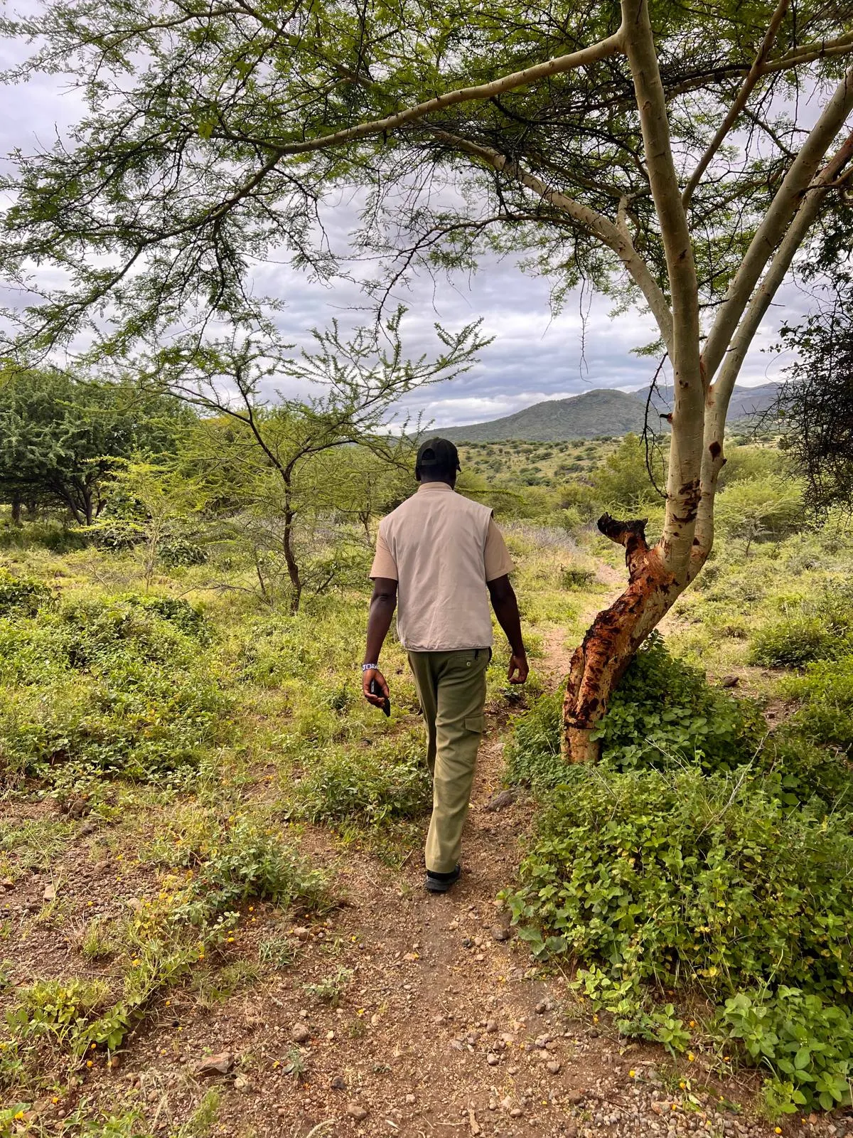 Nature walks — image 1 of 6